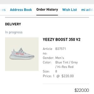 YEEZY 350 Boost v2 blue tint
